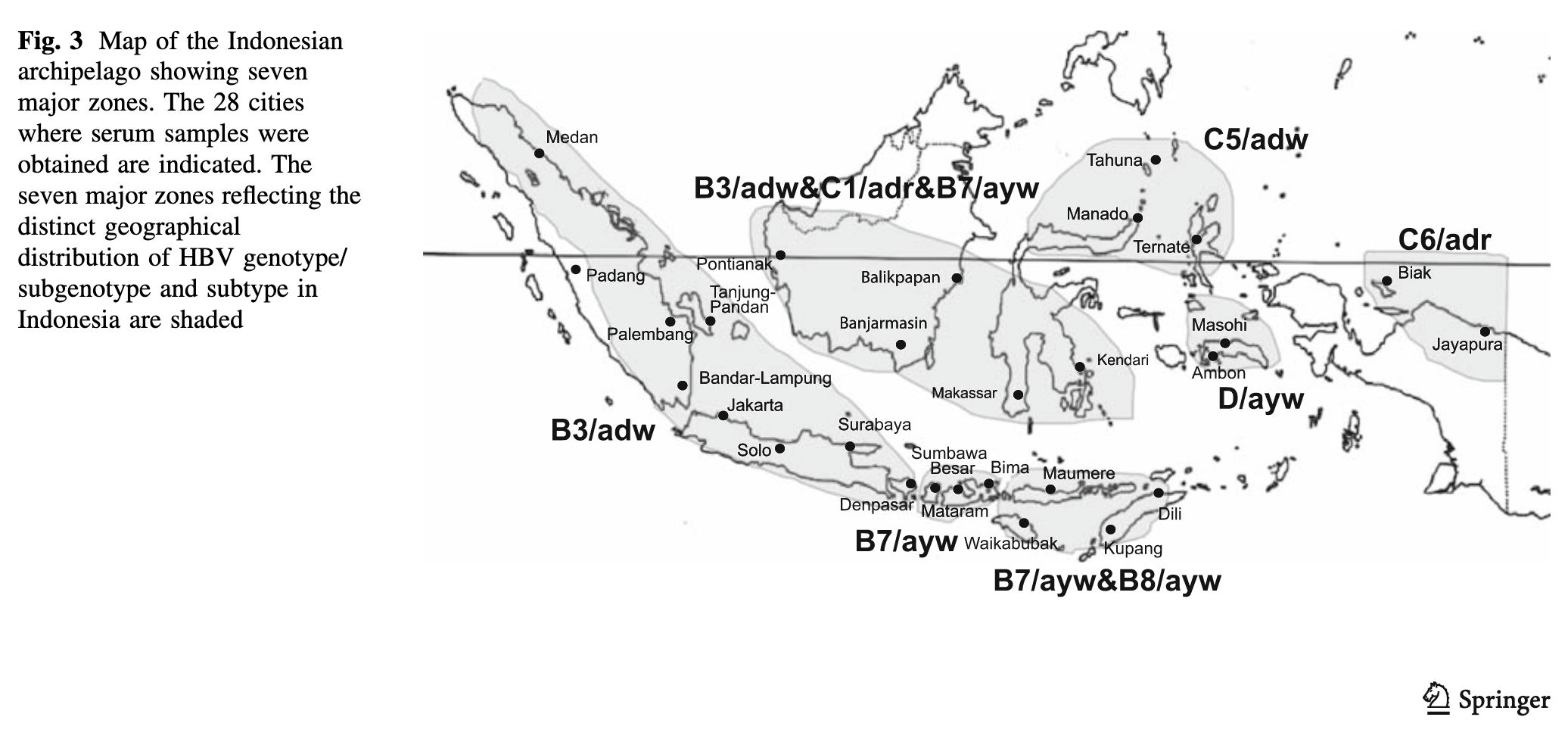 Peta Epidemiologi Molekuler HBV di Indonesia